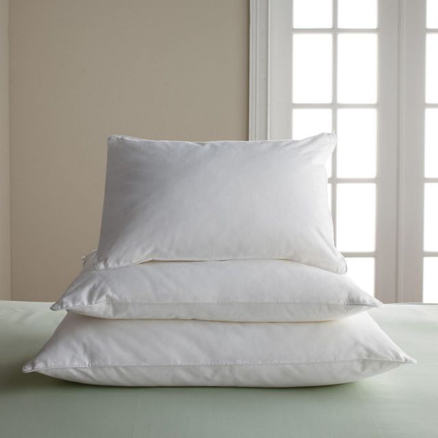 95 5 Feather Down Pillow Inserts Porter Prince