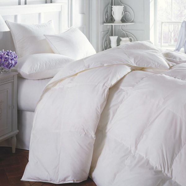 Sierra Down Free Comforter Duvet Insert Porter Prince