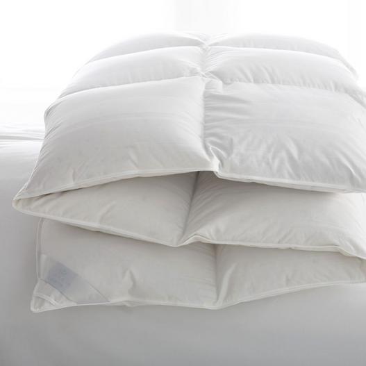 Lucerne Comforters Duvets Pillows By Scandia Down Porter