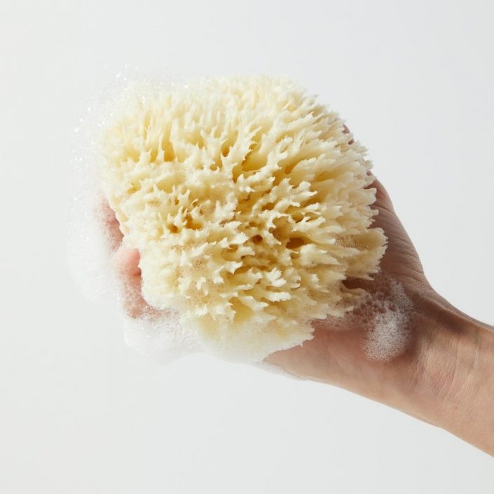 Small Sea Wool Sponge